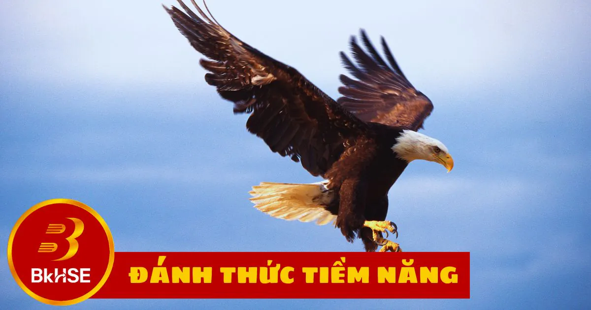 Danh Thuc Tiem Nang